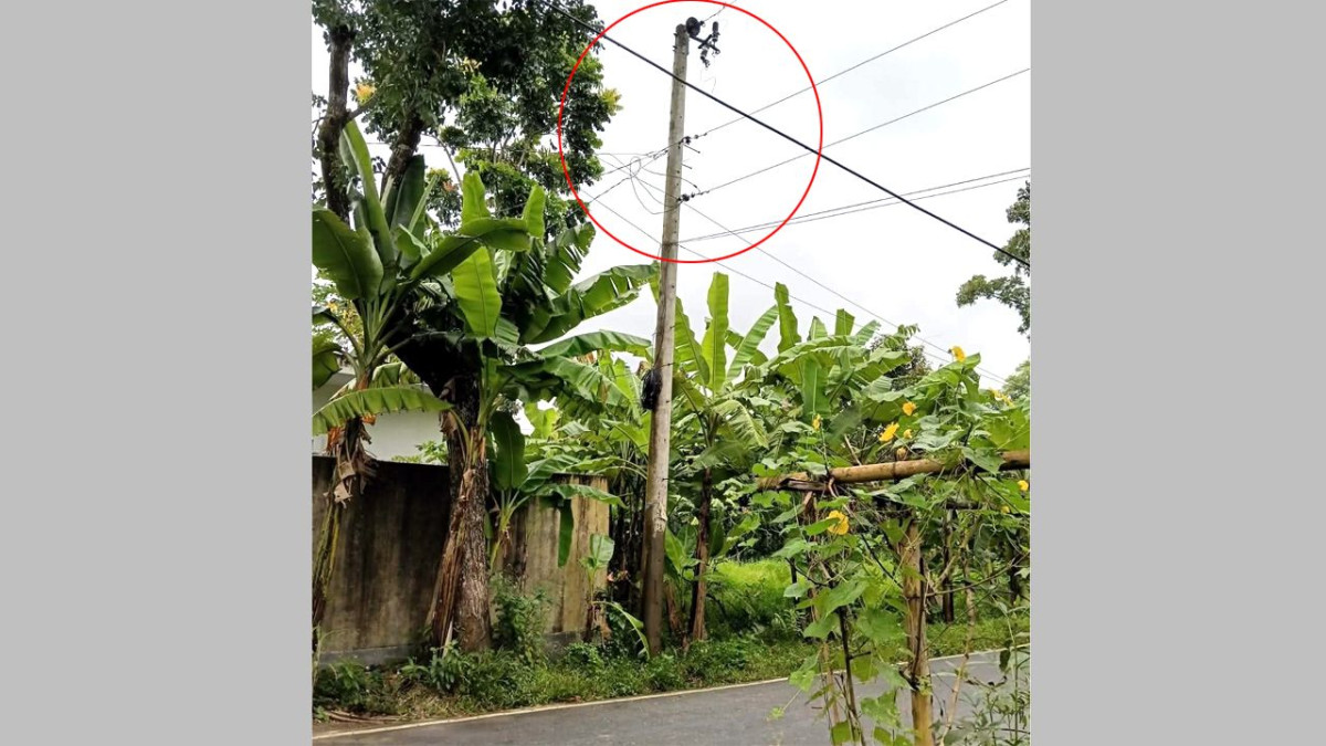 বৈদ্যুতিক ট্রান্সফরমার চুরি