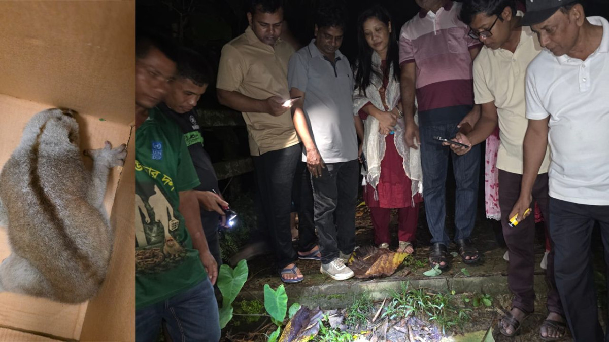 লক্ষ্মীছড়িতে লজ্জাবতী বানর উদ্ধার