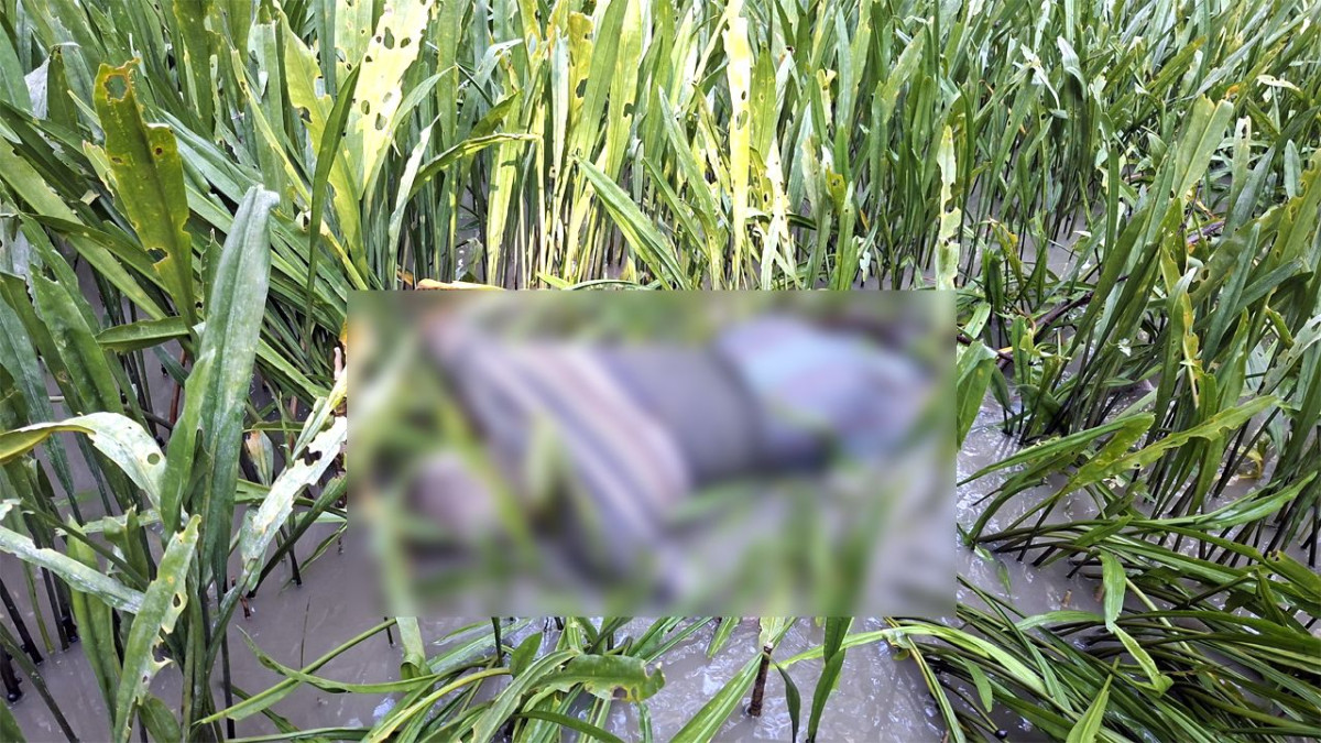 নদীর পানিতে ভাসমান বৃদ্ধের লাশ