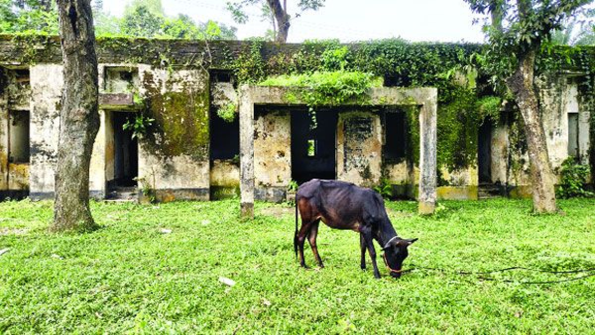 সিংড়া স্বাস্থ্য কল্যাণ কেন্দ্র কাগজে পুনর্নির্মাণ, বাস্তবে পরিত্যক্ত ভবন