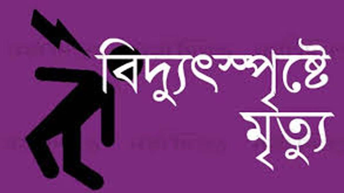 বিদ্যুৎস্পৃষ্টে মৃত্যু