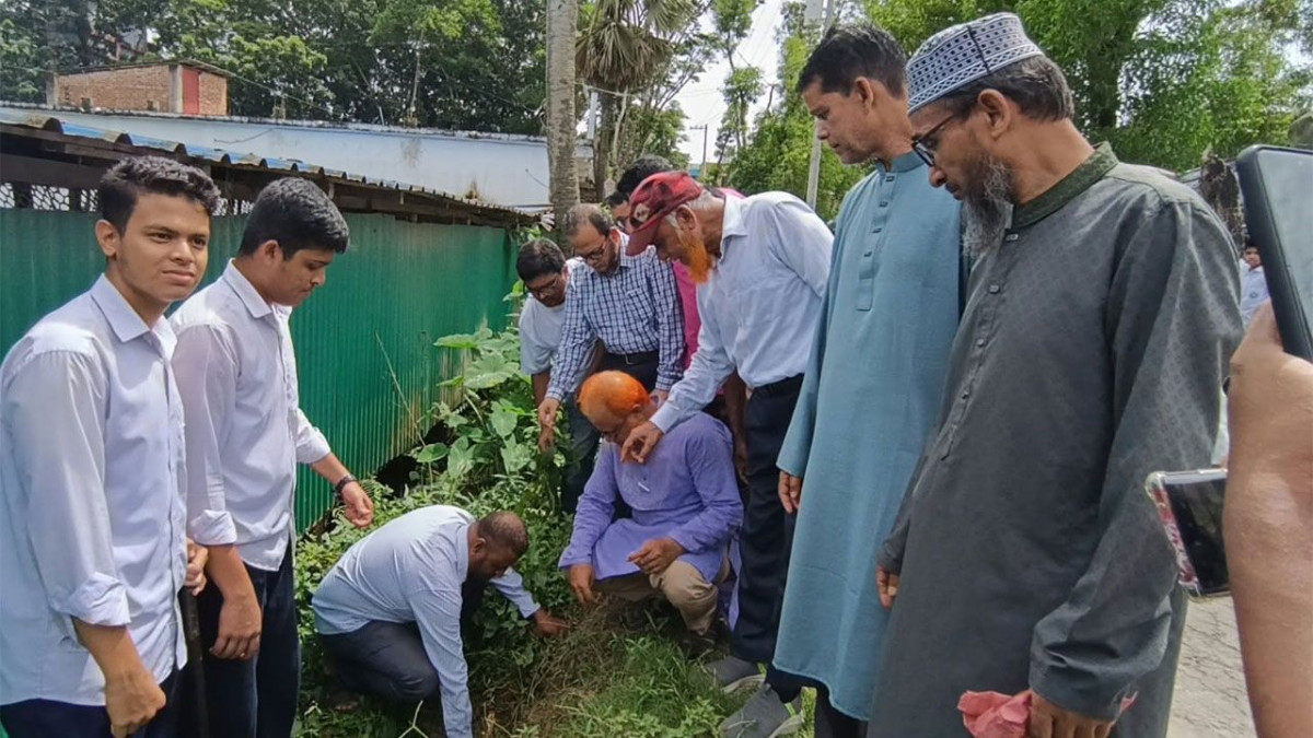 তালবীজ বজ্রপাত