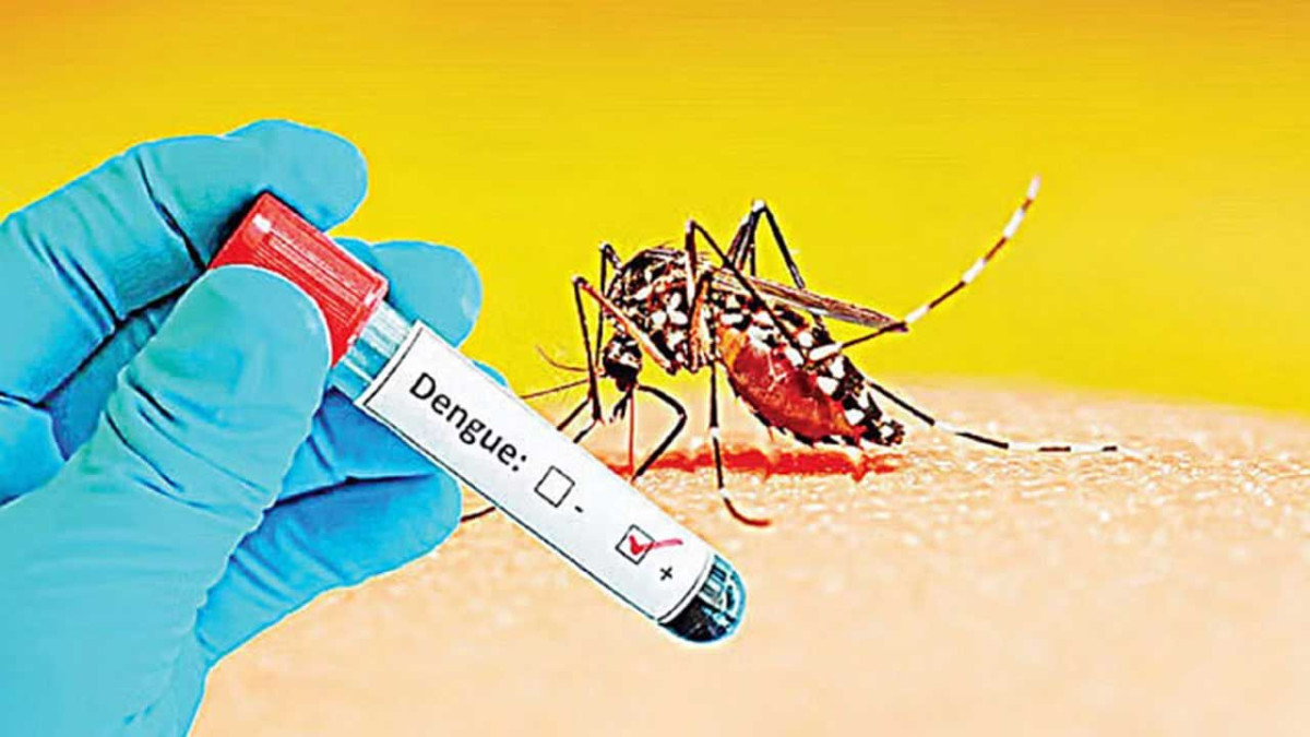 ডেঙ্গুতে প্রাণ গেল আরো ৮ জনের