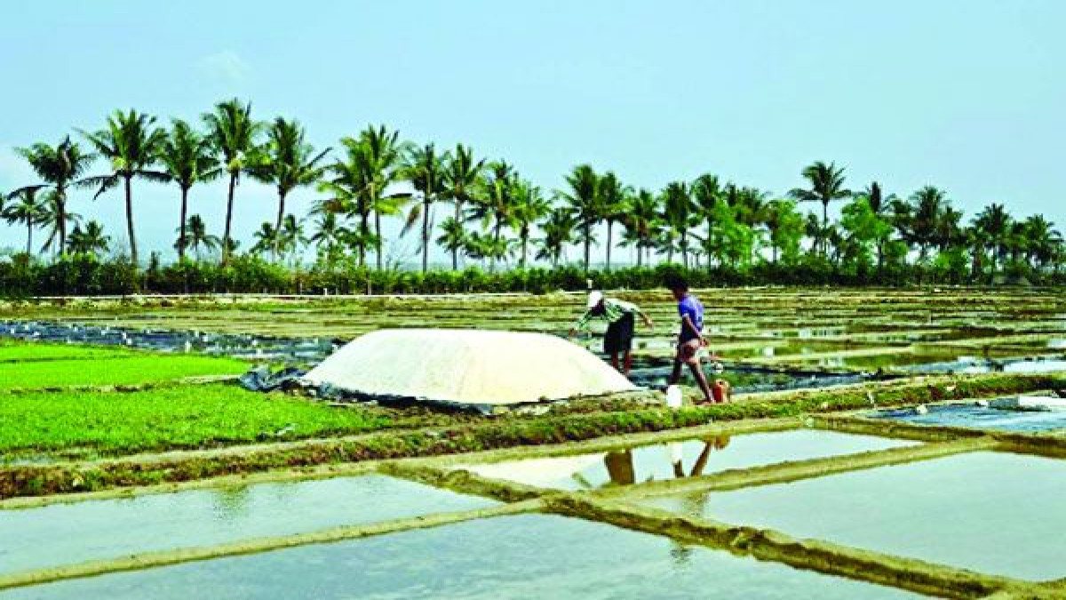 ৪ লাখ টন লবণ অবিক্রীত, দেড় লাখ টন আমদানির অনুমতি