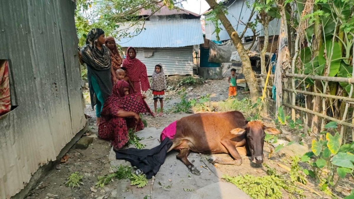 কুমির