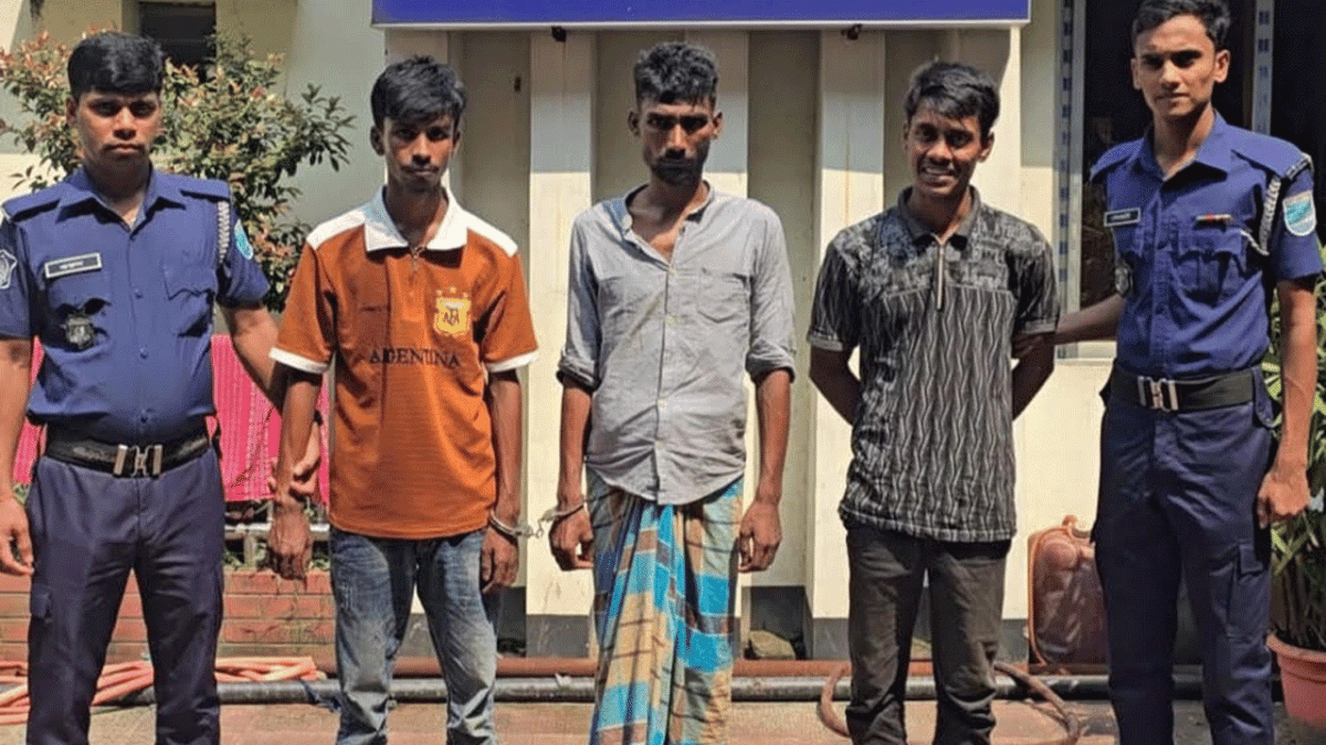 ধর্ষণ