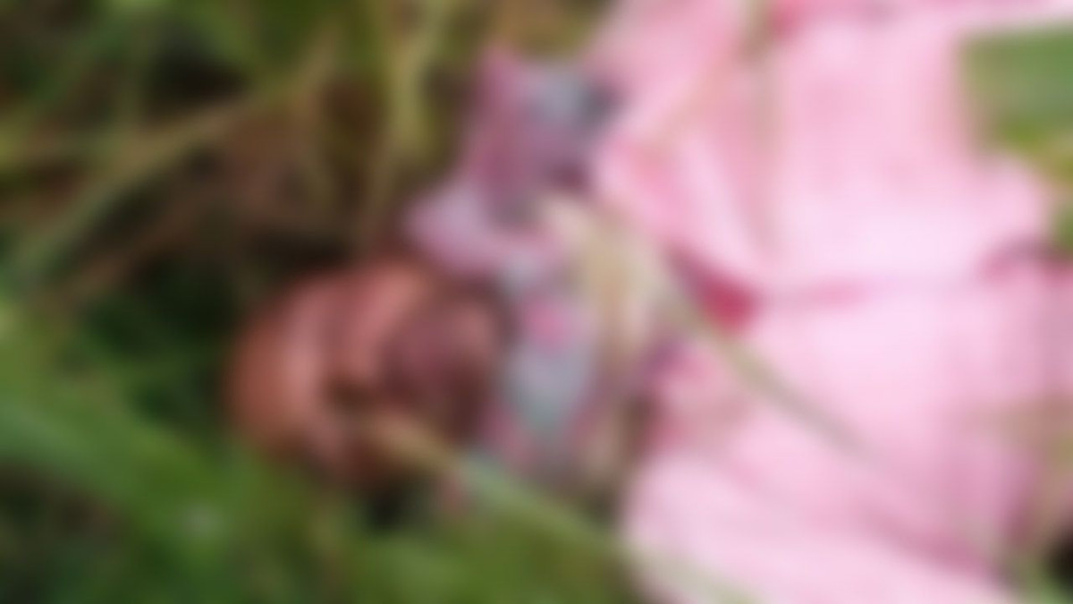 লাশ উদ্ধার