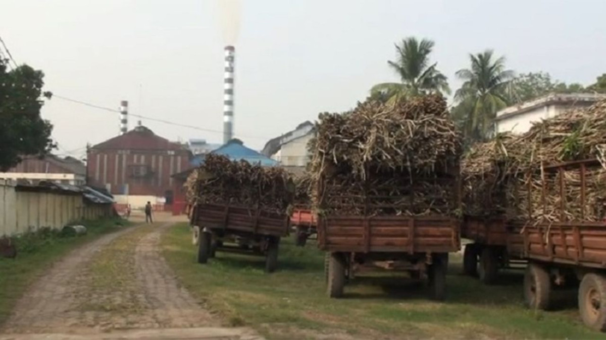 সুগার মিল, চিনি কল, বায়োপ্রোডাক্ট