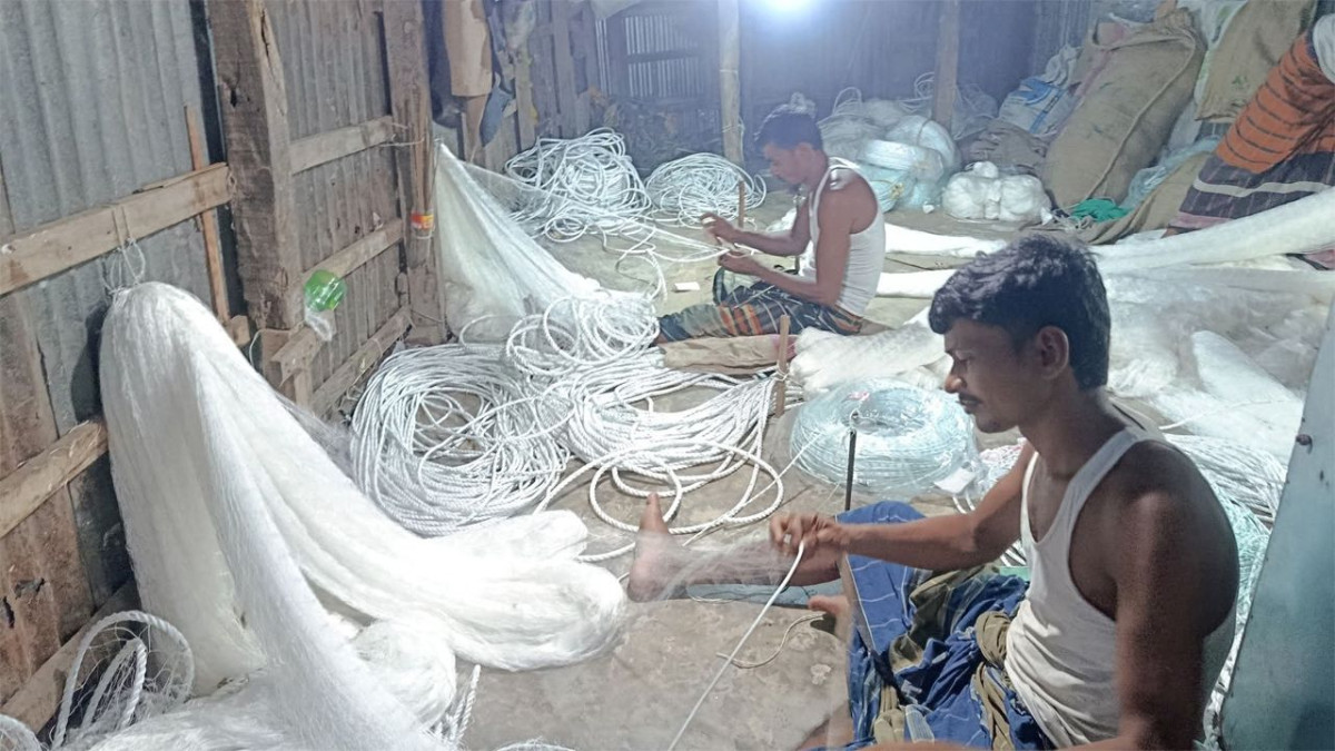 জেলে, ইলিশ