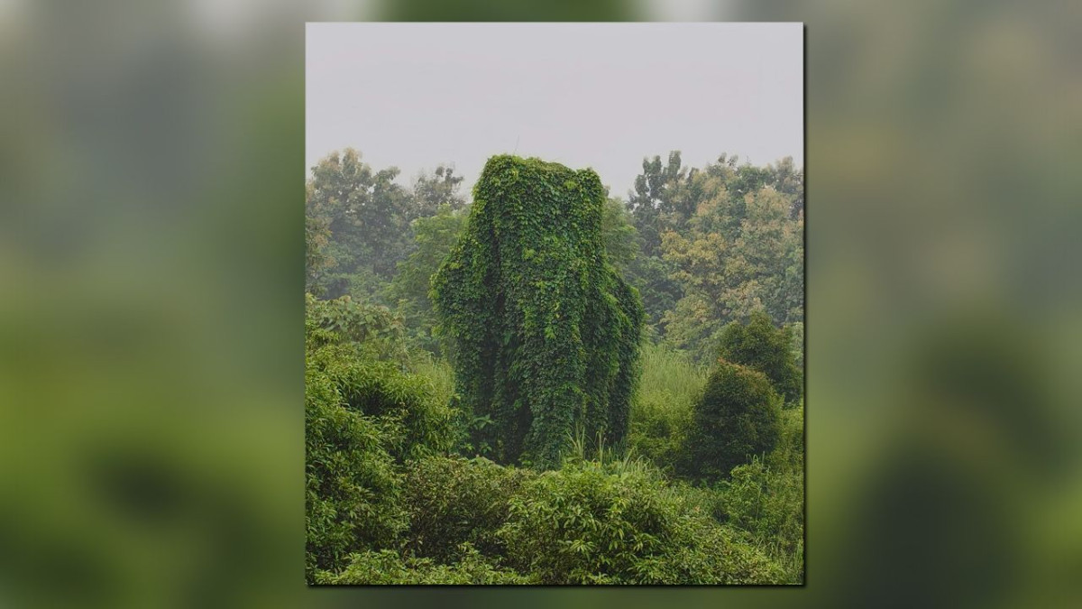 হাতি, প্রকৃতি