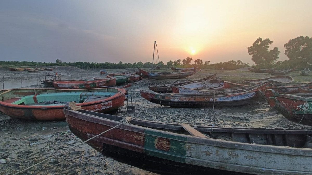 মা ইলিশ