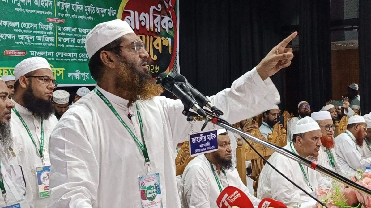 আল্লামা মামুনুল হক