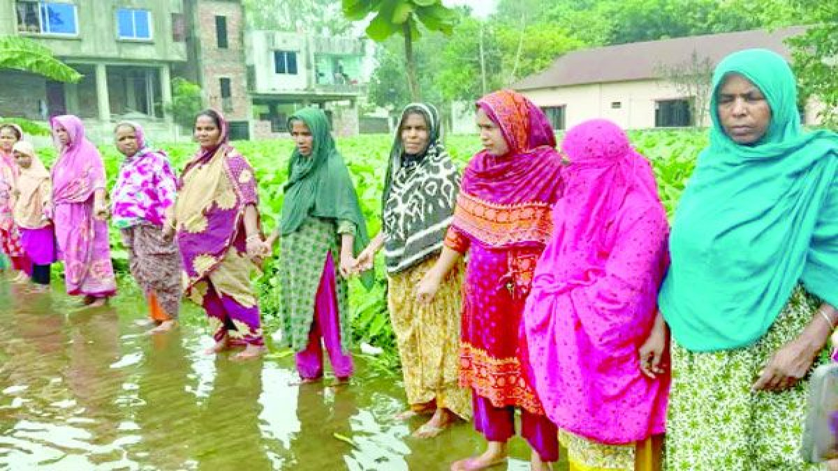 ঘাটাইলে পানিবন্দী শতাধিক পরিবারে দুর্ভোগ