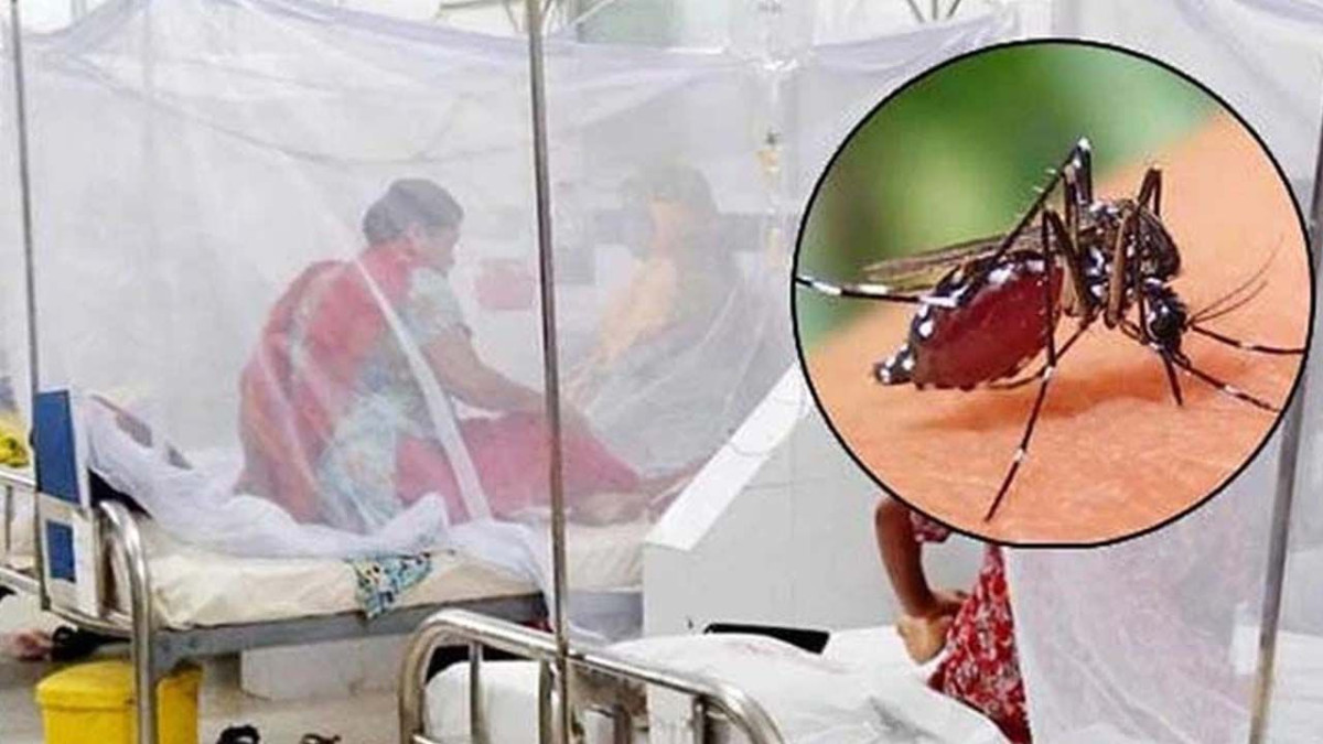 ডেঙ্গুতে আরো ৪ জনের মৃত্যু, হাসপাতালে ভর্তি ১১৮১
