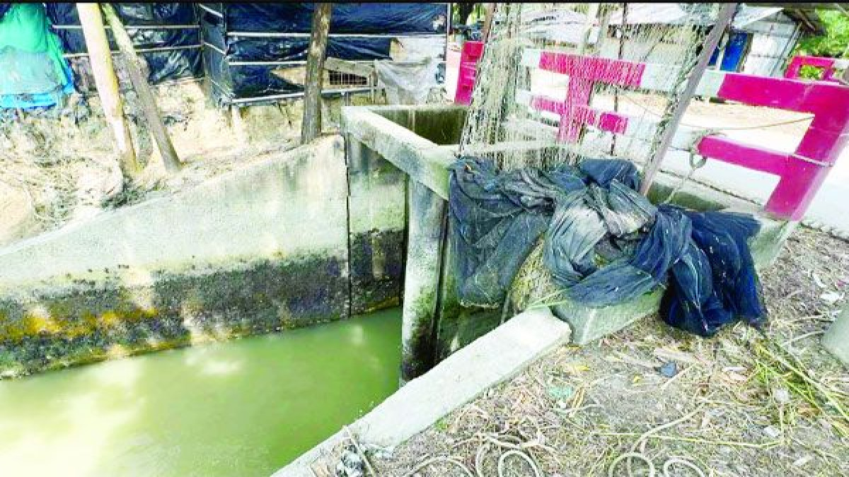 মাতামুহুরীর কোনাখালীতে আবাদি জমিতে ঢুকছে নোনা পানি