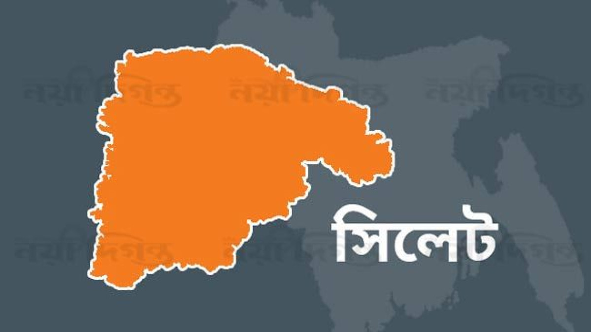 সিলেটে আরো ১০ ডেঙ্গুরোগী শনাক্ত