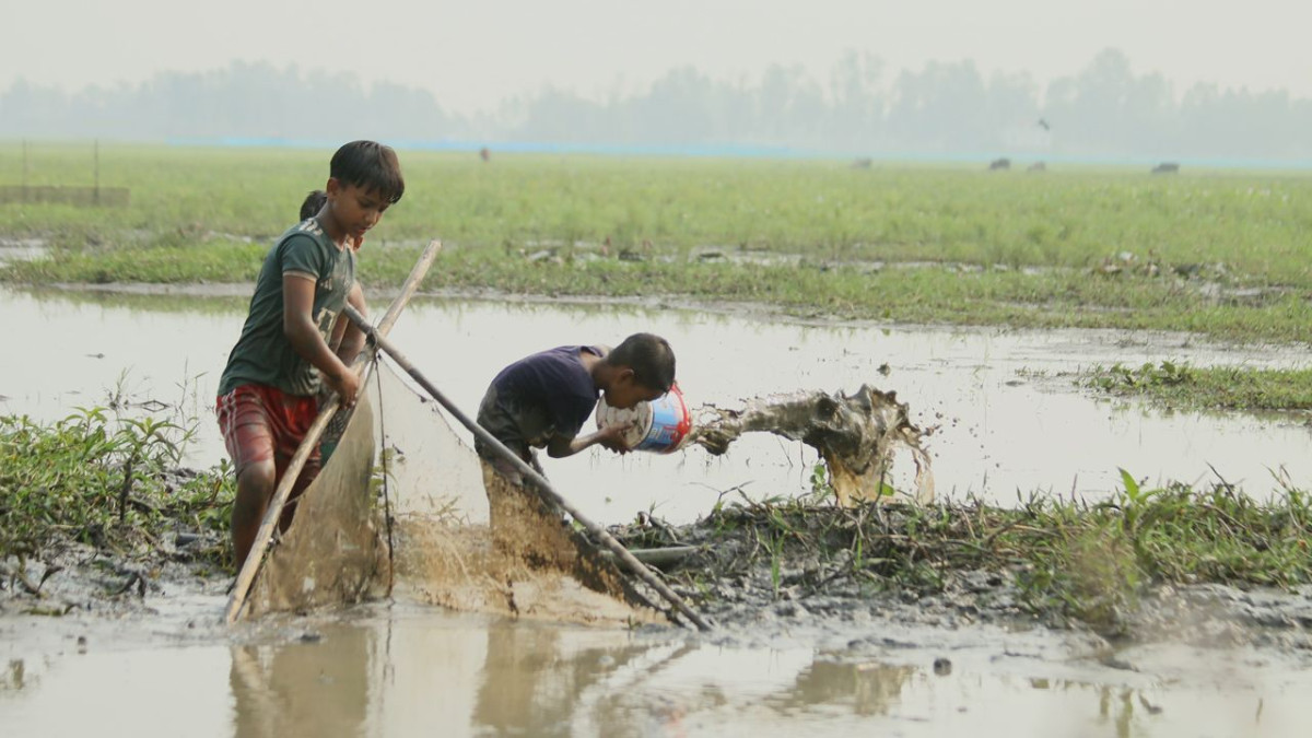 দেশীয় মাছ, খাল, হাওর, বর্ষা