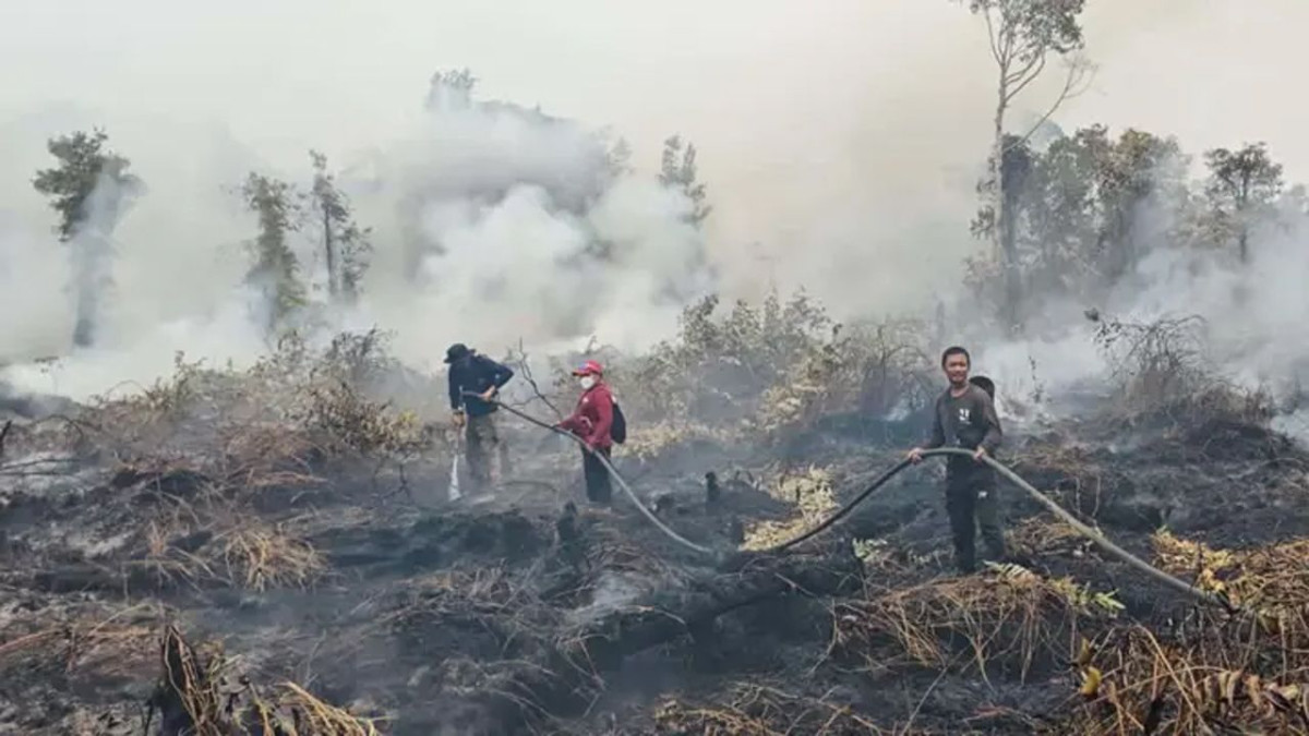 ইন্দোনেশিয়ায় দাবানল