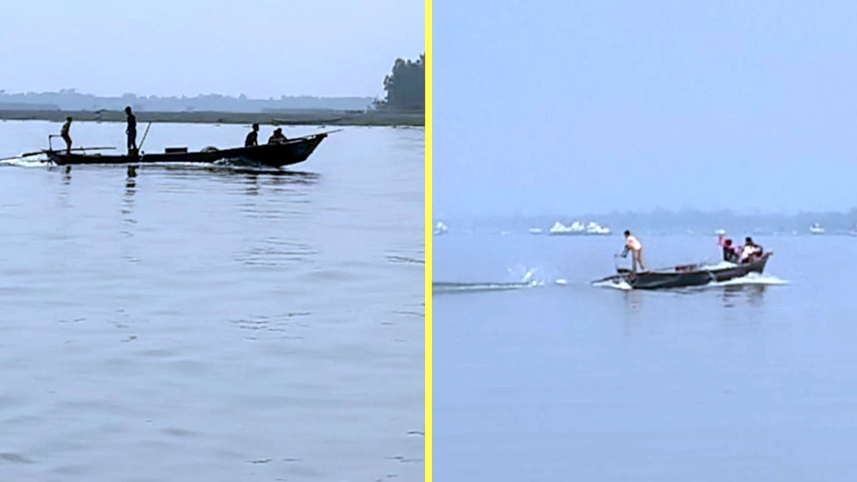 মা ইলিশ রক্ষায় নিষেধাজ্ঞা চললেও থামছে না জেলেদের মাছ শিকার