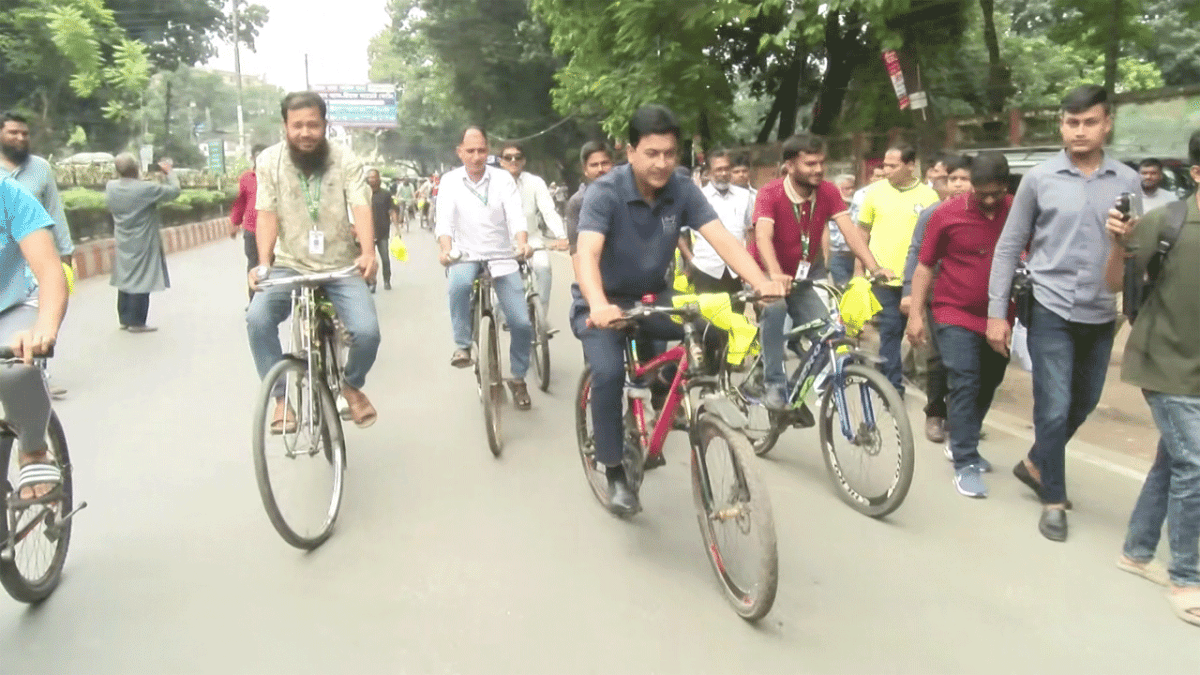 ডেঙ্গু